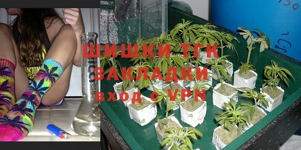ПСИЛОЦИБИНОВЫЕ ГРИБЫ Бородино