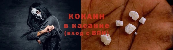 ПСИЛОЦИБИНОВЫЕ ГРИБЫ Бородино
