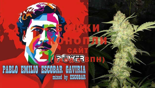 ПСИЛОЦИБИНОВЫЕ ГРИБЫ Бородино