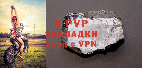 ПСИЛОЦИБИНОВЫЕ ГРИБЫ Бородино