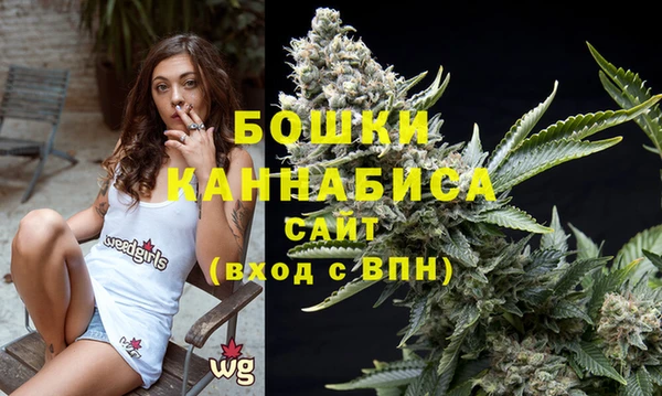 ПСИЛОЦИБИНОВЫЕ ГРИБЫ Бородино